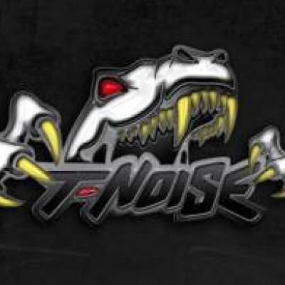 T-Noise
