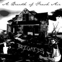 Briokids - A Breath of Fresh Air (2011)