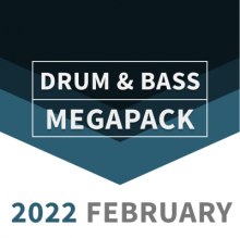 Drum & Bass 2022 FEBRUARY Megapack